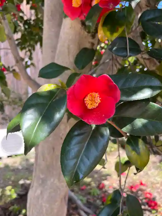 東門院(滋賀県)