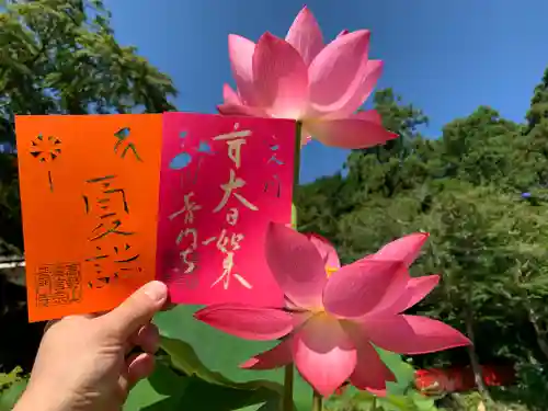 普門寺(切り絵御朱印発祥の寺)の御朱印