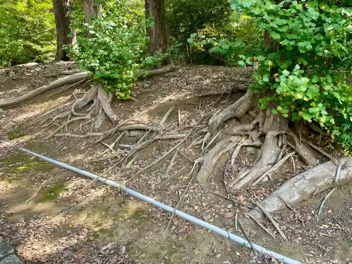 金毘羅神社(東京都)
