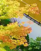 寿量山 速成寺の自然