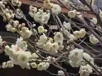 妙法寺(大阪府)