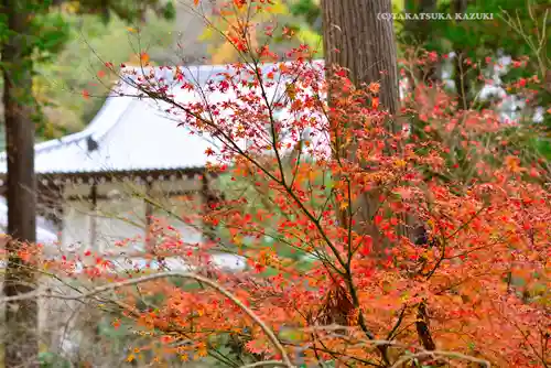 円覚寺(神奈川県)