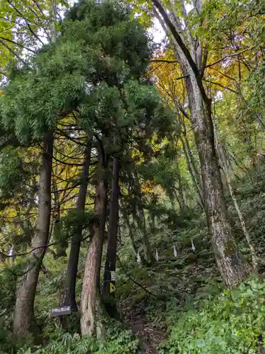 戸隠神社奥社の周辺