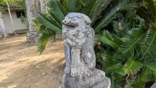 稚桜神社の狛犬