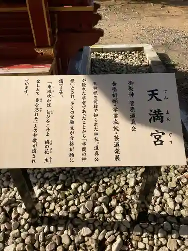 大杉神社(茨城県)