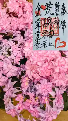 荒浜神社 御朱印

背景は「カサノバ」とゆう名前の紫陽花です。