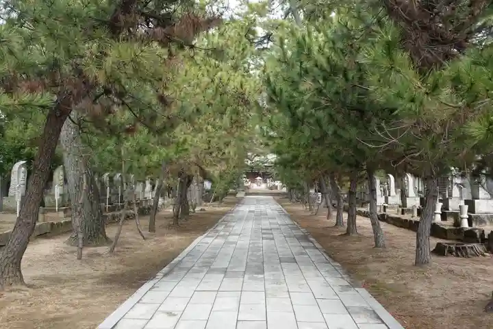 讃岐國分寺(香川県)