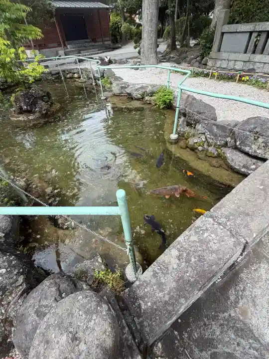新橋浅間神社の{uncategorized: "未分類", other: "その他", undefined: "問題あり", building: "その他建物", grave: "お墓", sacred_gate: "鳥居", guardian: "狛犬", statue: "像", buddha: "仏像", history: "歴史", nature: "自然", garden: "庭園", animal: "動物", pagoda: "塔", temizu: "手水舎", mountain_gate: "山門・神門", sanctuary: "本殿・本堂", subordinate: "末社・摂社", art: "芸術", scenery: "景色", jizo: "地蔵", ema: "絵馬", goshuin: "御朱印", omikuji: "おみくじ", items: "授与品その他", amulet: "お守り", goshuincho: "御朱印帳", eats: "食事", festival: "お祭り", votive_dance: "神楽", shichigosan: "七五三参", wedding: "結婚式", experience: "体験その他", initially: "初詣", around: "周辺", anti_infection: "感染症対策"}