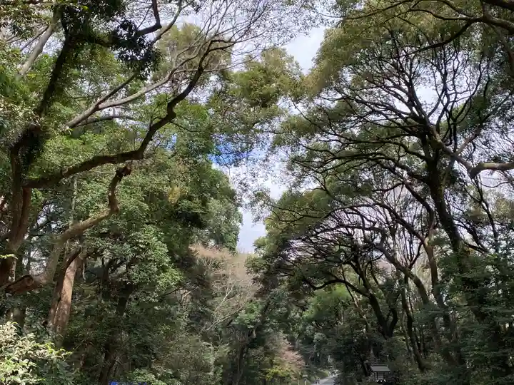 明治神宮の自然