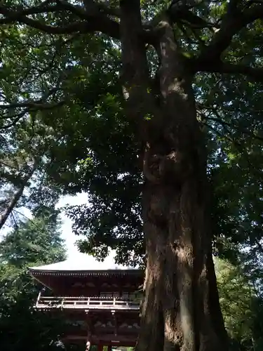 東昌寺(茨城県)