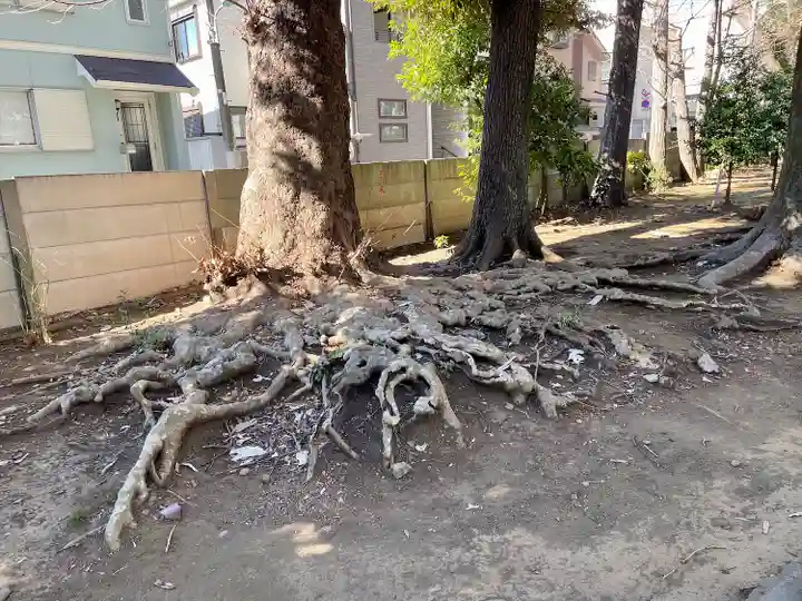 八雲氷川神社(東京都)