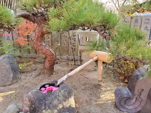 北野天満神社の庭園