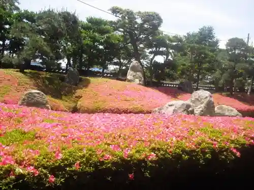 光明寺の庭園