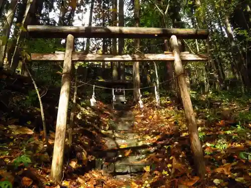 戸隠神社火之御子社の鳥居