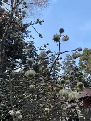 芳賀天満宮(栃木県)