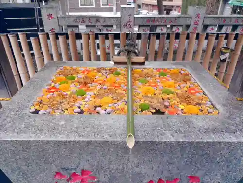 高円寺氷川神社(東京都)