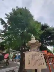 草加神社の自然