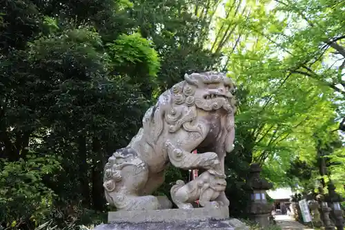 神炊館神社 ⁂奥州須賀川総鎮守⁂の狛犬