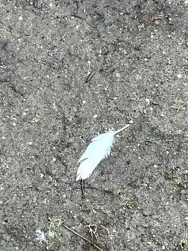 五所駒瀧神社(茨城県)