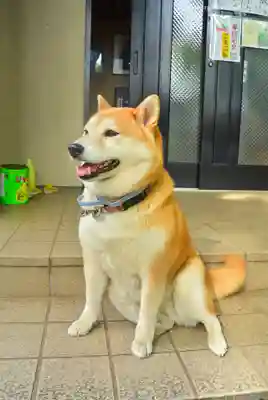 笠䅣稲荷神社(神奈川県)