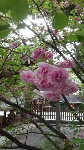 阿佐ヶ谷神明宮(東京都)