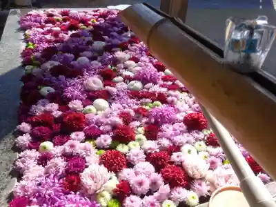 横浜 西方寺の手水舎