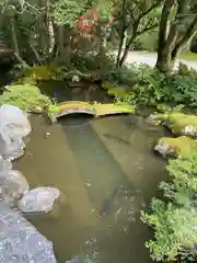 越中一宮 髙瀬神社(富山県)