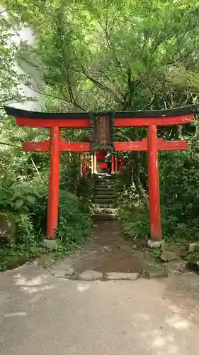 箱根神社の鳥居