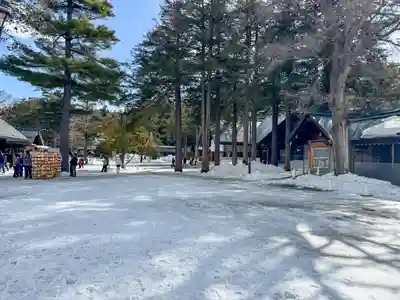 北海道神宮(北海道)