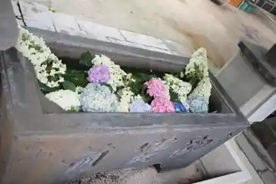 越谷香取神社の手水舎