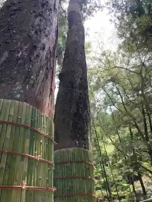 伊勢神宮内宮（皇大神宮）(三重県)