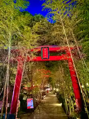 來宮神社(静岡県)