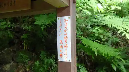 大聖寺（亀岡文殊）のその他建物