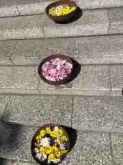 彌彦神社　(伊夜日子神社)(北海道)