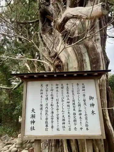 大瀬神社(静岡県)