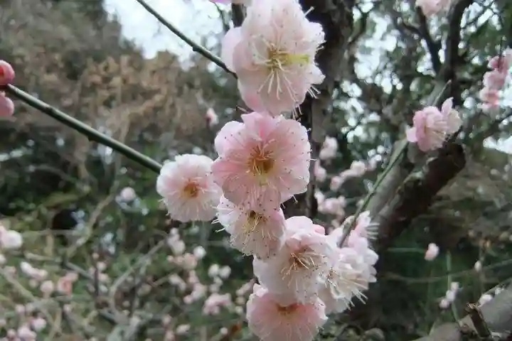 稲荷神社(山口県)