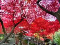 大山寺(神奈川県)