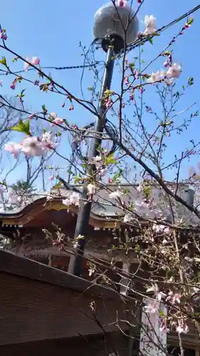 相馬神社(北海道)