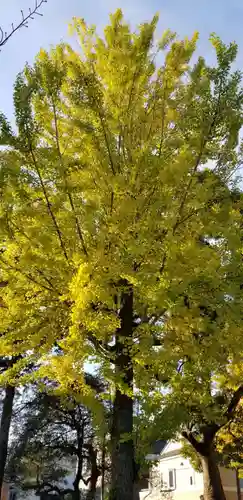 半田稲荷神社の自然