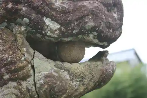 若宮八幡神社の狛犬