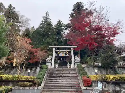 中氷川神社の鳥居