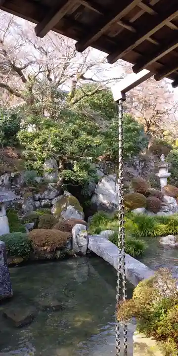 滋賀院門跡の庭園