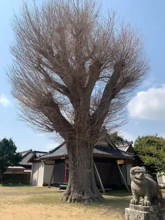 神明神社(千葉県)