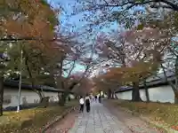 醍醐寺(京都府)