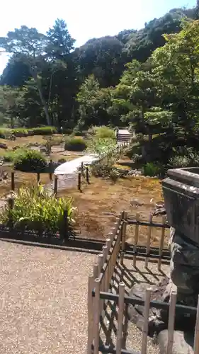 安国寺の庭園