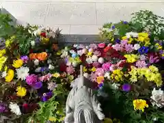 滑川神社 - 仕事と子どもの守り神の手水