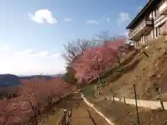 楽法寺（雨引観音）の景色