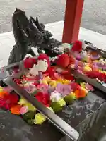 美濃國一宮 南宮大社の手水舎