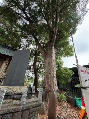 玉前神社(千葉県)