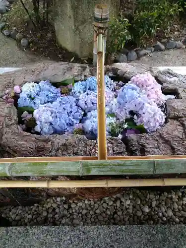 阿智神社の手水